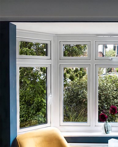 Bay or Box Windows